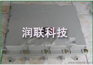 上海防爆不锈钢配电箱与防腐配电柜 产品、系统设计与市场概览