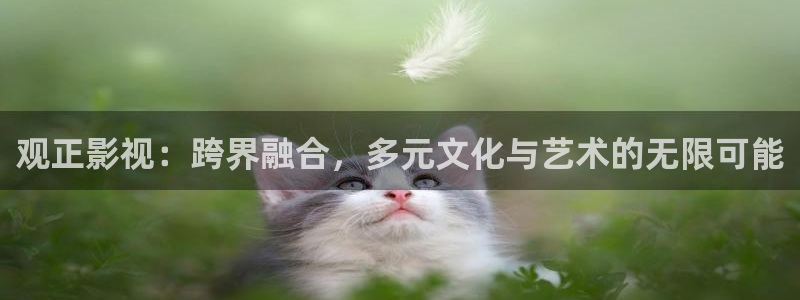 人人透二级片：观正影视：跨界融合，多元文化与艺术的无限可能