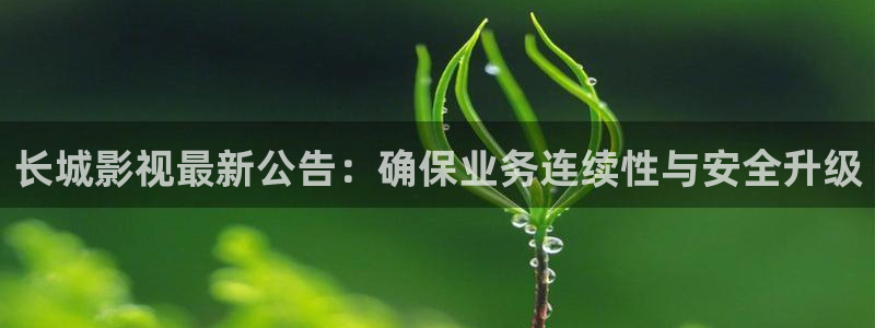 人人从众影视公司：长城影视最新公告：确保业务连续性与安全升级