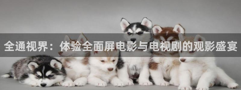 人人艹免费在线视频：全通视界：体验全面屏电影与电视剧的观影盛宴