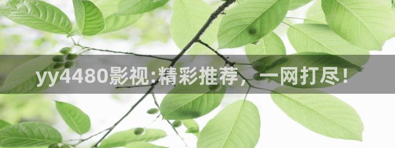 成人网人人电影