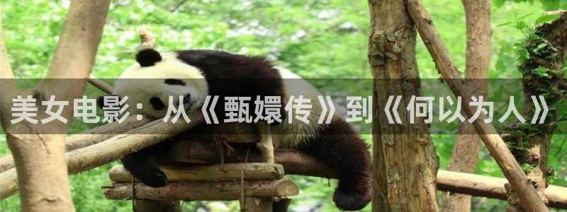 97超碰人人搞：美女电影：从《甄嬛传》到《何以为人》